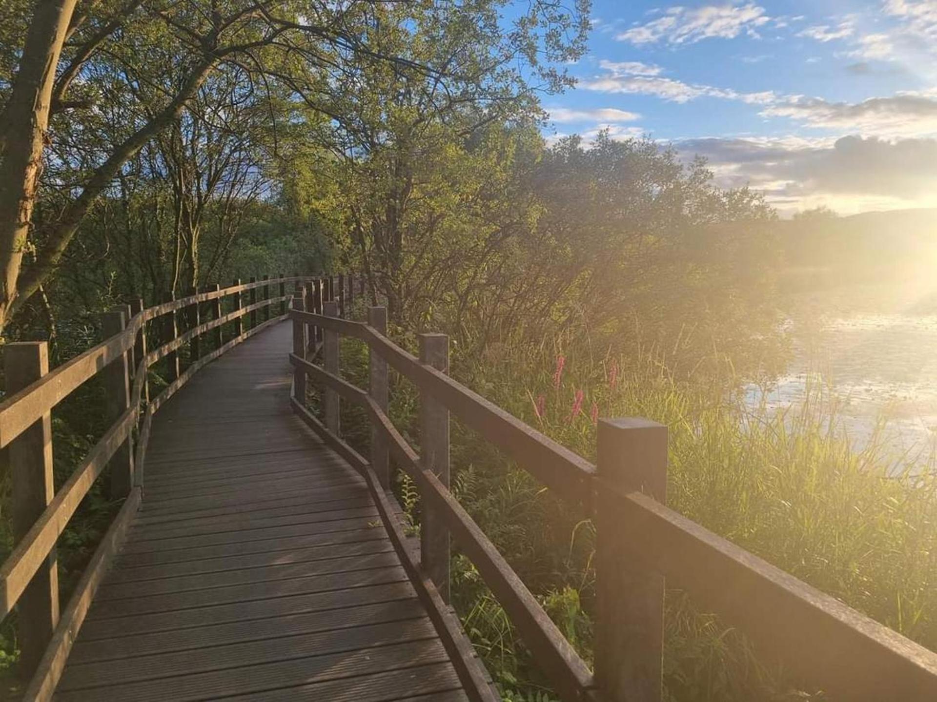 Luxury Family Beechwood Lodge With Hot Tub Lochwinnoch Eksteriør bilde
